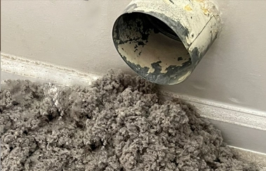 Dryer Vent Cleaning by ProCasaland in Georgia