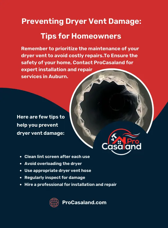 Preventing Dryer Vent Damage Tips for Homeowners - Infographic